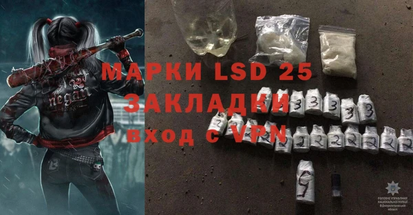 шишки Майский