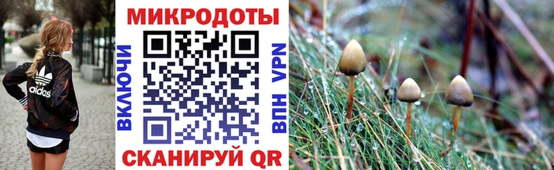 Галлюциногенные грибы мухоморы Николаевск-на-Амуре