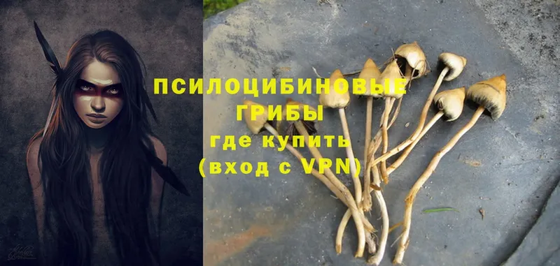 Галлюциногенные грибы Psilocybe  Николаевск-на-Амуре 